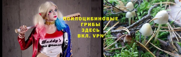 jwh Аркадак